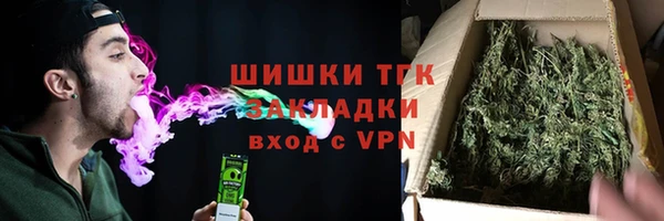 стаф Вяземский