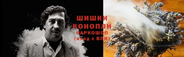 МДПВ Волоколамск