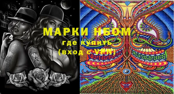 стаф Вяземский